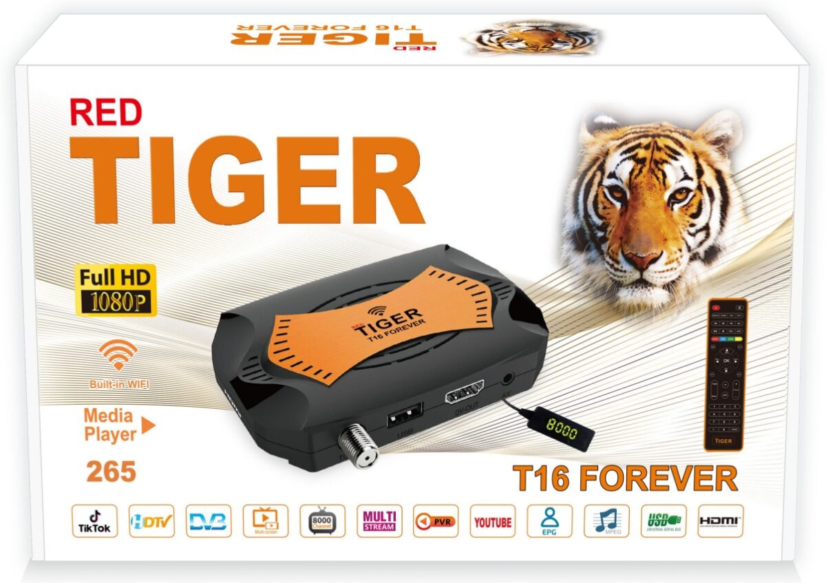  tiger : 2023 T16-1200x847.jpg