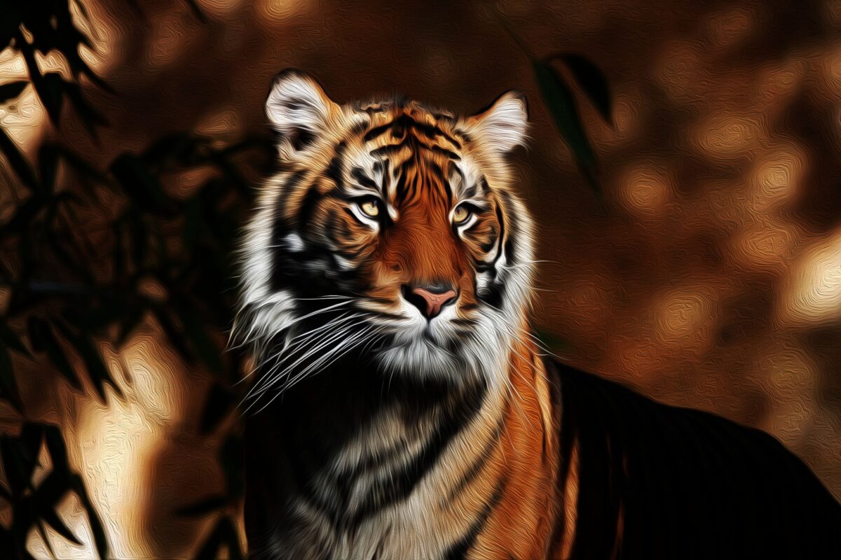 Tiger International Company